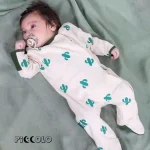 سرهمی جورابدار