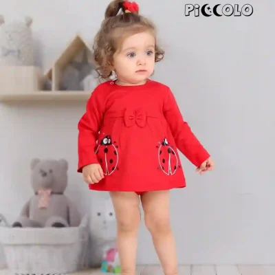 بلند دامنی